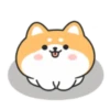 Cute lovely dog (Mov) 7