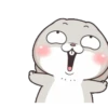 Lovely RABBIT 8