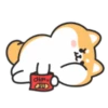 Cute lovely dog (Mov) 9