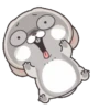 Lovely RABBIT 13