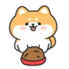 Cute lovely dog (Mov) 11