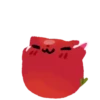 Tomato cat 1 9