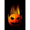 Halloween 10