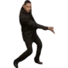 Messirven 9