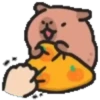 Capibara cute 1 MOV. 7
