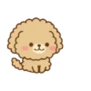 Cute dogs   (Mov) 9