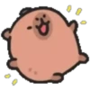 Capibara cute 1 MOV. 9