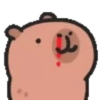 Capibara cute 2 MOV. 12