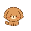 Cute dogs   (Mov) 14