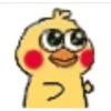 Chicken 9