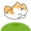 Cute lovely dog (Mov) 12