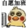 Chicken 11