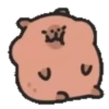 Capibara cute 2 MOV. 13