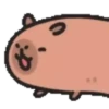 Capibara cute 2 MOV. 14