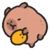 Capibara cute 1 MOV. 12