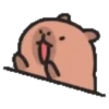 Capibara cute 2 MOV. 15