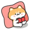 Cute lovely dog (Mov) 14