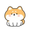 Cute lovely dog (Mov) 16
