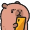 Capibara cute 1 MOV. 14