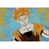 Goku 14