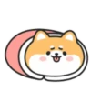 Cute lovely dog (Mov) 17