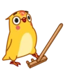 Yellow Boy 8