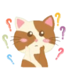 Gatinho engraçado 5