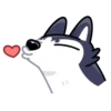 Siberian Husky 7