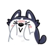 Siberian Husky 8