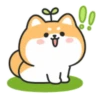Cute lovely dog (Mov) 19