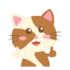 Gatinho engraçado 6