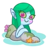 Water Lily 11
