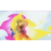 Goku 16