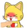 Yellow cat  mov 13