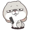 Lovely RABBIT 24