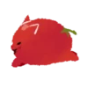 Tomato cat 1 15