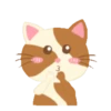 Gatinho engraçado 7