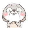 Lovely RABBIT 25