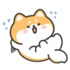 Cute lovely dog (Mov) 20