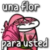 Florksito maestra ᥫ᭡ 13