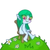 Water Lily 17
