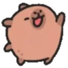 Capibara cute 2 MOV. 19
