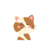 Gatinho engraçado 8