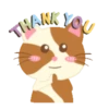Gatinho engraçado 9