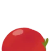 Tomato cat 1 16