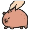 Capibara cute 1 MOV. 18