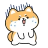 Cute lovely dog (Mov) 21