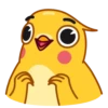 Yellow Boy 12