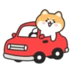Cute lovely dog (Mov) 22