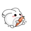 Big white Rabbit .MOV 17